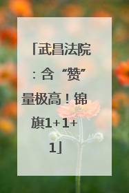 武昌法院：含“赞”量极高！锦旗1+1+1