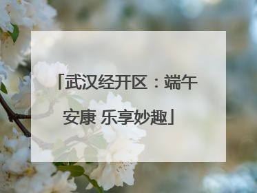 武汉经开区：端午安康 乐享妙趣