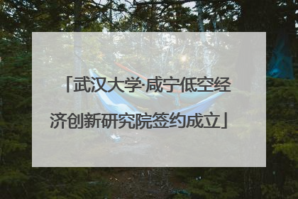 武汉大学·咸宁低空经济创新研究院签约成立