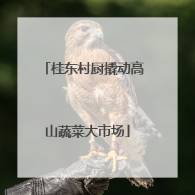 桂东村厨撬动高山蔬菜大市场