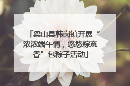 梁山县韩岗镇开展“浓浓端午情，悠悠粽意香”包粽子活动