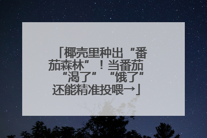 椰壳里种出“番茄森林”！当番茄“渴了”“饿了”还能精准投喂→