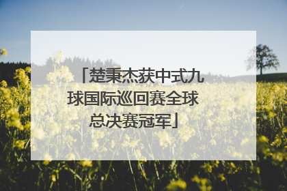 楚秉杰获中式九球国际巡回赛全球总决赛冠军
