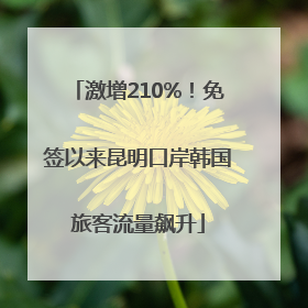 激增210%！免签以来昆明口岸韩国旅客流量飙升