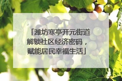 潍坊寒亭开元街道解锁社区经济密码，赋能居民幸福生活
