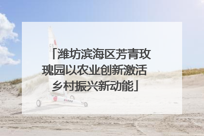 潍坊滨海区芳青玫瑰园以农业创新激活乡村振兴新动能