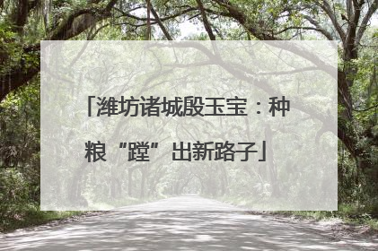 潍坊诸城殷玉宝：种粮“蹚”出新路子