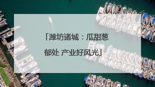 潍坊诸城：瓜甜葱郁处 产业好风光