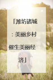 潍坊诸城：美丽乡村催生美丽经济