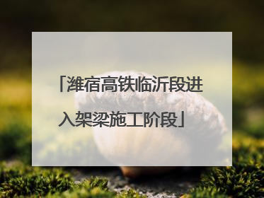 潍宿高铁临沂段进入架梁施工阶段