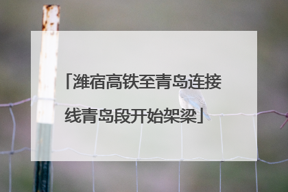 潍宿高铁至青岛连接线青岛段开始架梁
