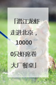 潜江龙虾走进北京，100000只虾席卷大厂餐桌