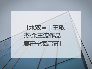 水双重｜王敏杰·余王波作品展在宁海启幕