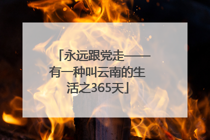 永远跟党走——有一种叫云南的生活之365天