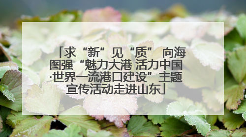 求“新”见“质” 向海图强“魅力大港 活力中国·世界一流港口建设”主题宣传活动走进山东