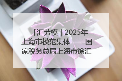 汇劳模｜2025年上海市模范集体——国家税务总局上海市徐汇区税务局第一税务所