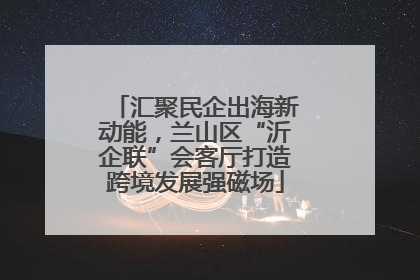 汇聚民企出海新动能，兰山区“沂企联”会客厅打造跨境发展强磁场