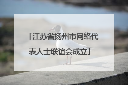 江苏省扬州市网络代表人士联谊会成立