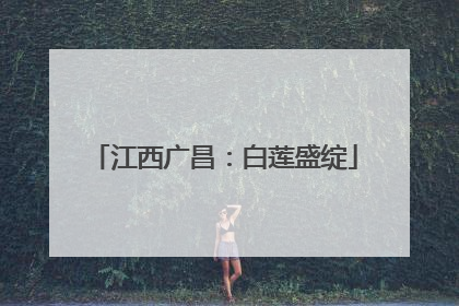 江西广昌：白莲盛绽