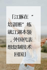 江豚在“培训班”练就江湖本领，外国代表想复制技术回国