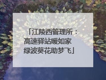江陵西管理所：高速驿站暖如家 绿波葵花助梦飞