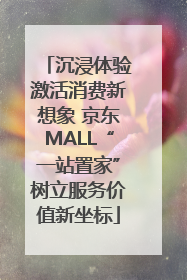 沉浸体验激活消费新想象 京东MALL“一站置家”树立服务价值新坐标