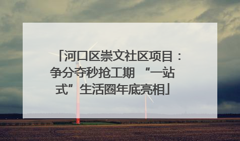河口区崇文社区项目：争分夺秒抢工期 “一站式”生活圈年底亮相