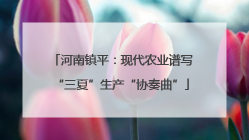 河南镇平：现代农业谱写“三夏”生产“协奏曲”
