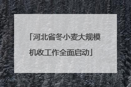 河北省冬小麦大规模机收工作全面启动