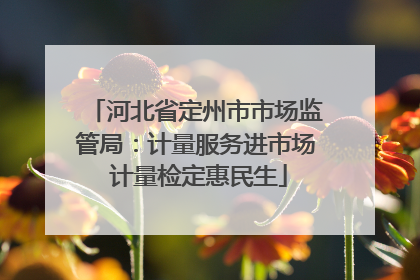 河北省定州市市场监管局：计量服务进市场 计量检定惠民生