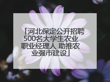河北保定公开招聘500名大学生农业职业经理人 助推农业强市建设