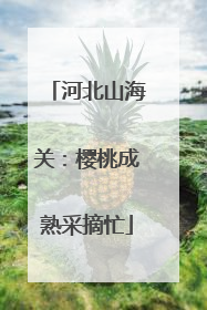 河北山海关：樱桃成熟采摘忙