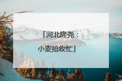 河北隆尧：小麦抢收忙