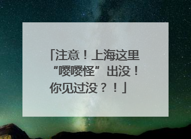 注意！上海这里“嘤嘤怪”出没！你见过没？！