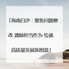 海南白沙：聚焦问题整改 激励担当作为 绘就高质量发展新图景