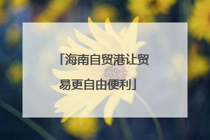 海南自贸港让贸易更自由便利