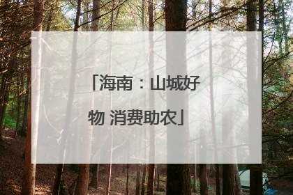 海南：山城好物 消费助农