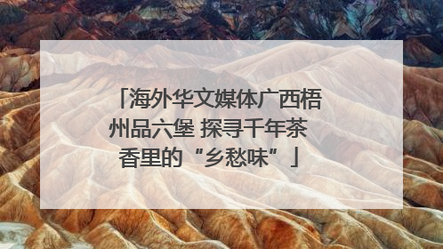 海外华文媒体广西梧州品六堡 探寻千年茶香里的“乡愁味”