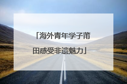 海外青年学子莆田感受非遗魅力