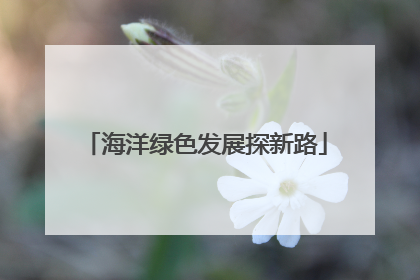 海洋绿色发展探新路