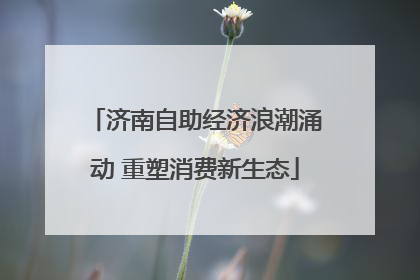 济南自助经济浪潮涌动 重塑消费新生态