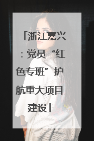 浙江嘉兴：党员“红色专班”护航重大项目建设