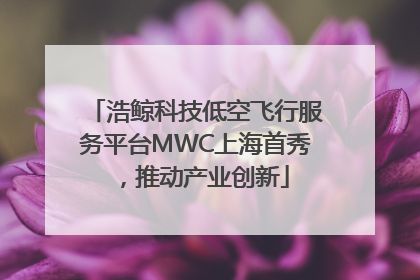 浩鲸科技低空飞行服务平台MWC上海首秀，推动产业创新