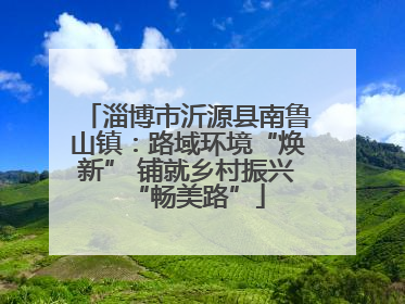 淄博市沂源县南鲁山镇：路域环境“焕新” 铺就乡村振兴“畅美路”