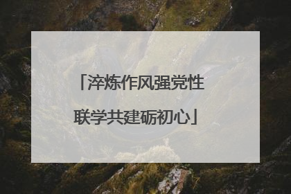 淬炼作风强党性 联学共建砺初心