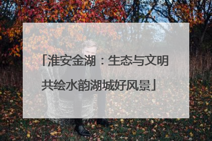 淮安金湖：生态与文明共绘水韵湖城好风景