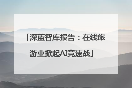 深蓝智库报告：在线旅游业掀起AI竞速战