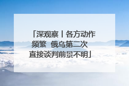 深观察丨各方动作频繁  俄乌第二次直接谈判前景不明