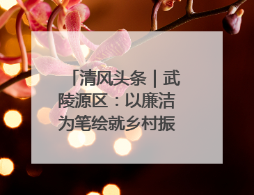 清风头条｜武陵源区：以廉洁为笔绘就乡村振兴新画卷