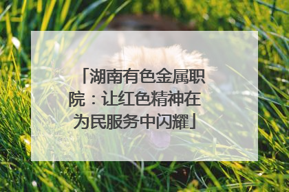 湖南有色金属职院：让红色精神在为民服务中闪耀